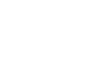 logo-nepi-rockastle-partener