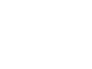 logo-partener-audio-monkey