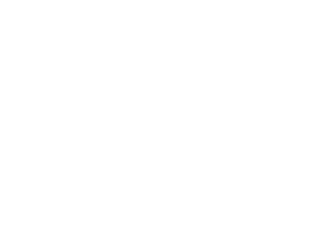 mega-mall-partener-stellari